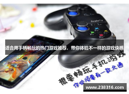 适合用手柄畅玩的热门游戏推荐，带你体验不一样的游戏快感