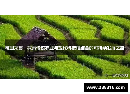 桃园采集：探索传统农业与现代科技相结合的可持续发展之路