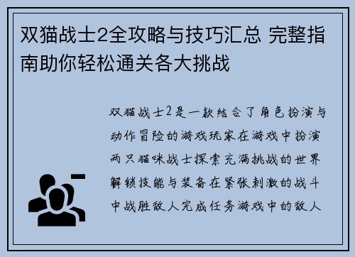 双猫战士2全攻略与技巧汇总 完整指南助你轻松通关各大挑战